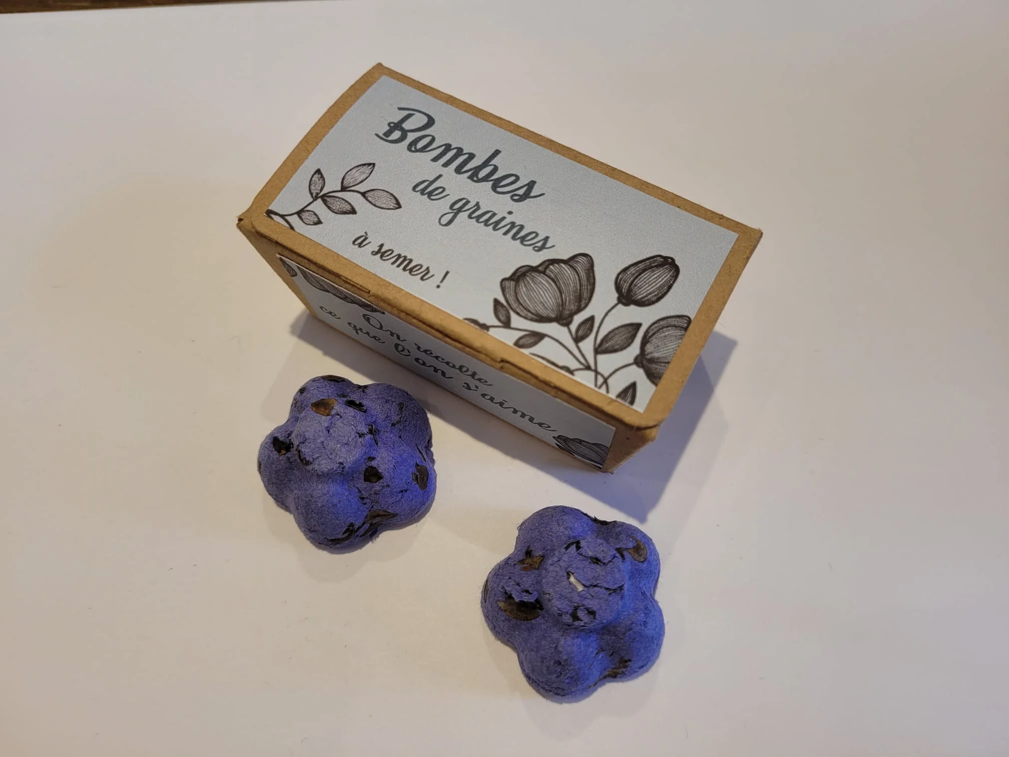 Bombe de graines – Image 2