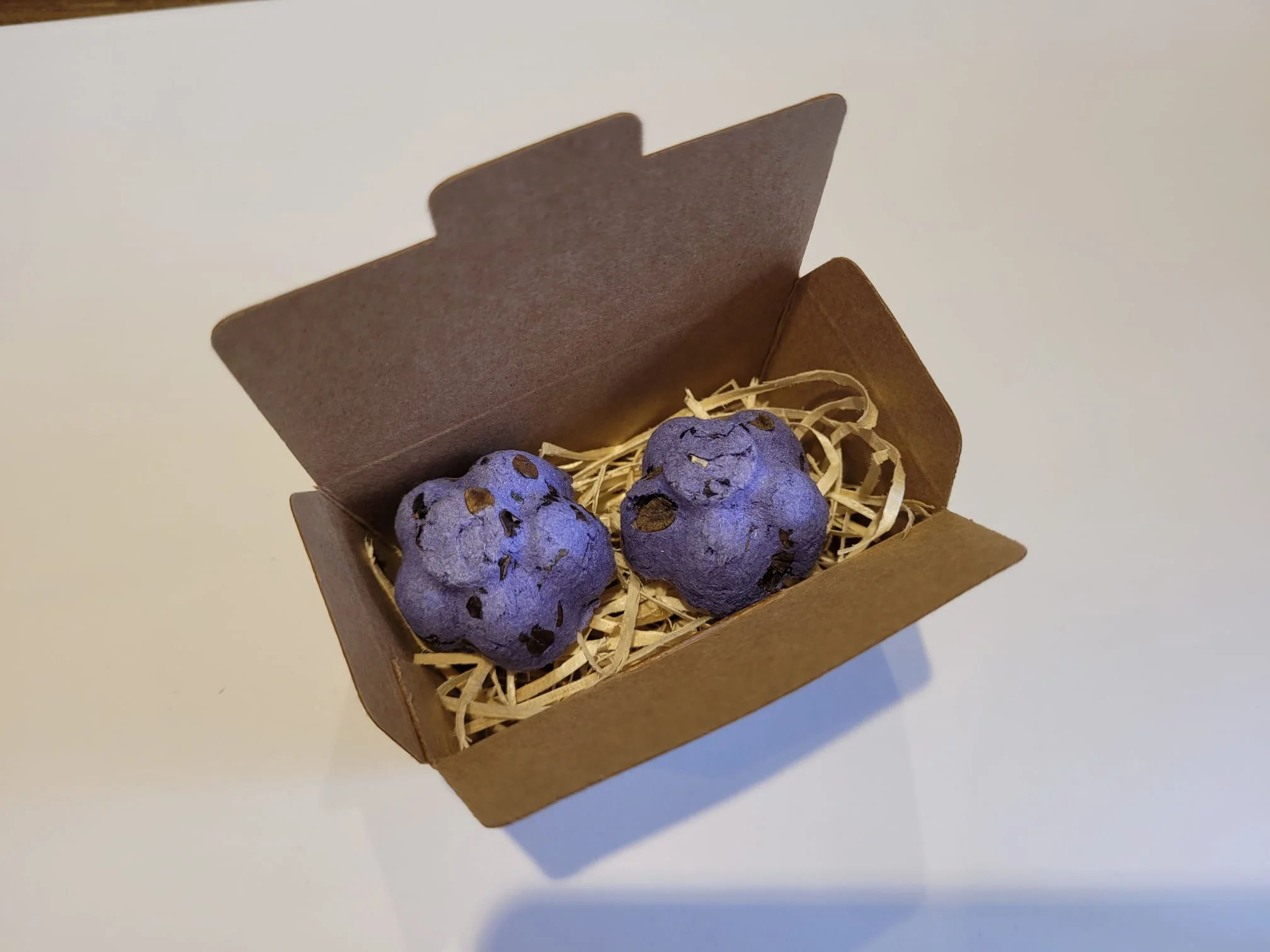 Bombe de graines – Image 3