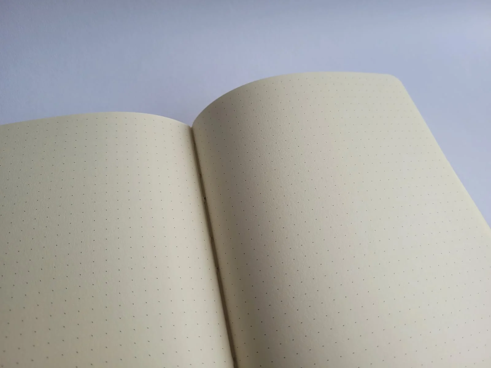 Bullet Journal - Baleine – Image 7