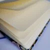 Bullet Journal - Baleine – Image 5