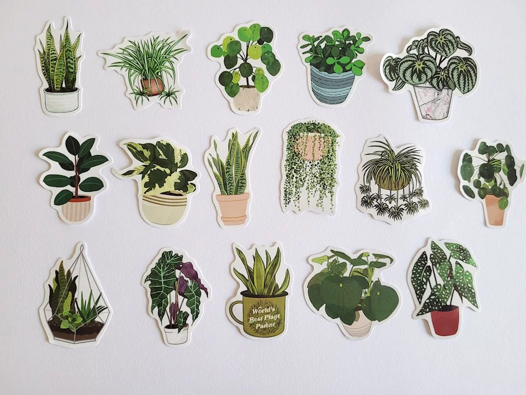 Autocollants végétaux – Image 2