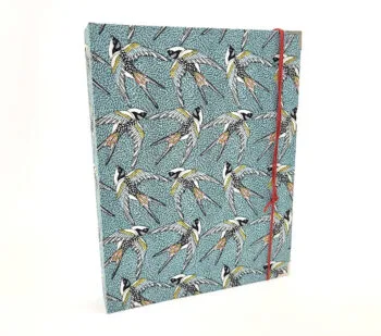 Album Photo Hirondelles