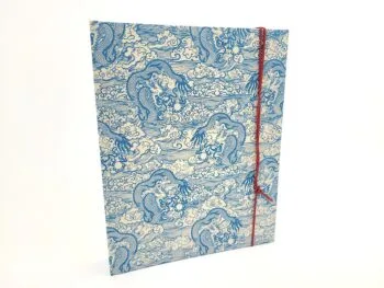 Album Photo Dragons des mers