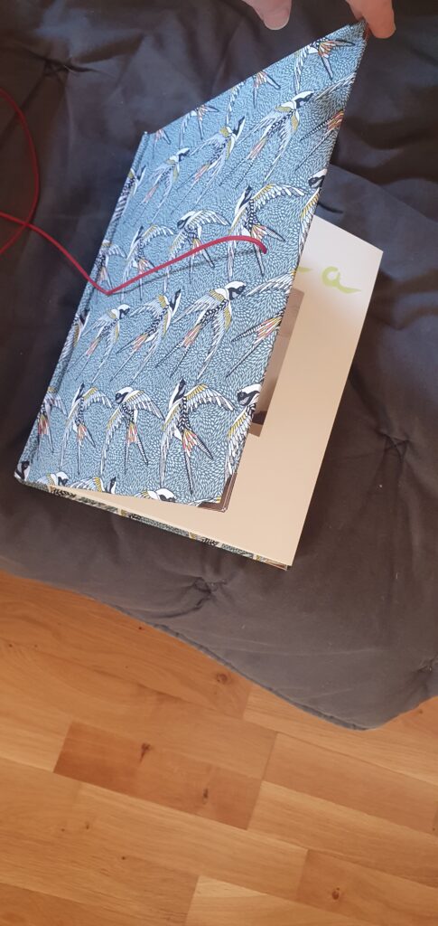 test 1 Image #1 de Octave Pin